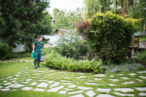 Best Best Pest Control Companies  in Dudley, NC