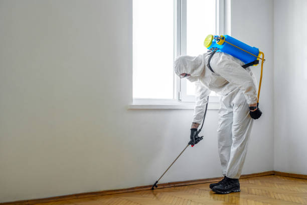 Professional Pest Control in Dudley, NC