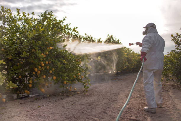 Wasp Removal Services in Dudley, NC