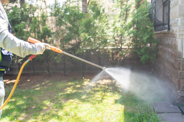 Best Spider Control Near Me  in Dudley, NC