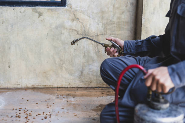 Best Termite Control Services  in Dudley, NC